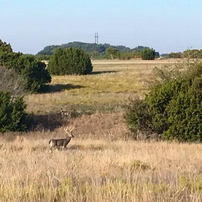 Profile Picture of David Coker (@_davidcoker) on Twitter