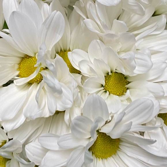 Profile Picture of Wendilyn Malabed (@wsmx328) on Poshmark