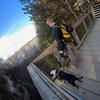 Profile Picture of Chad Flint (@@chadflint) on Tiktok