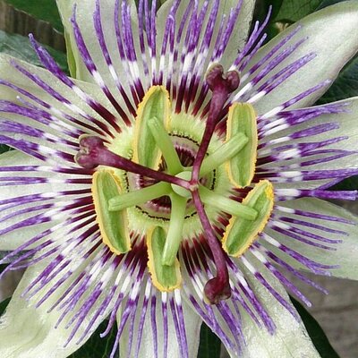 Profile Picture of Jacky Reid (@ReidJacky) on Twitter