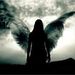 Profile Picture of Tracey Bruce (@snowqueenxx) on Pinterest