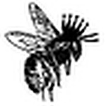 Profile Picture of Dave Hunter (@crownbees) on Flickr