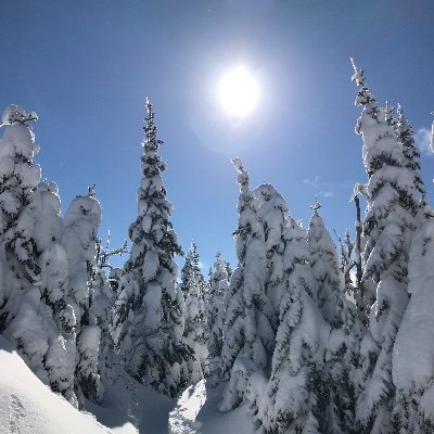 Profile Picture of Benjamin Carrier (@Benjami39347105) on Twitter