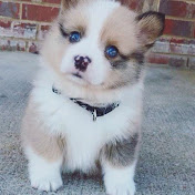 Profile Picture of Michael Basnett (@michaelbasnett8445) on Youtube