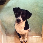 Profile Picture of James Hamrick (@jameshamrick4487) on Youtube