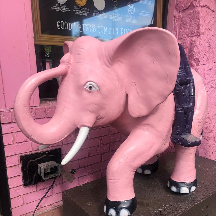 Profile Picture of Chris Huebner (@chrishuebner) on Tiktok