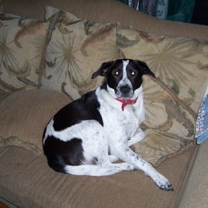 Profile Picture of Bart Stone (@214438390) on Myspace