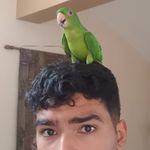 Profile Picture of Javier Ruvalcaba (@javoruv) on Instagram