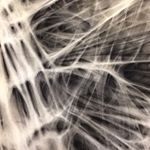 Profile Picture of Lorena Salcedo-Watson (@lorenasalcedowatson) on Instagram