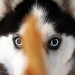 Profile Picture of Alexa Ross (@alexa.a.ross) on Flickr