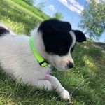 Profile Picture of Nancy Kotarski (@nancy.kotarski) on Instagram
