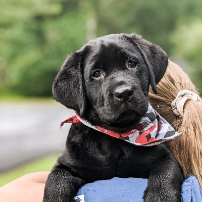 Profile Picture of Gregg W. Fletcher (@GreggWFletcher1) on Twitter