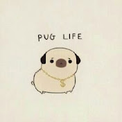 Profile Picture of Conor Hughes (@CTPHUGHES) on Youtube