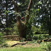 Profile Picture of Jeremy Baldwin (@JeremyBaldwin-qy8rg) on Youtube