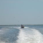 Profile Picture of Seth Gelberg (@sethgelberg) on Instagram