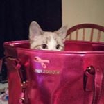 Profile Picture of Jeri Jarrett (@jerijarrett) on Instagram