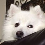 Profile Picture of Jake Rashap (@jake.rashap) on Instagram