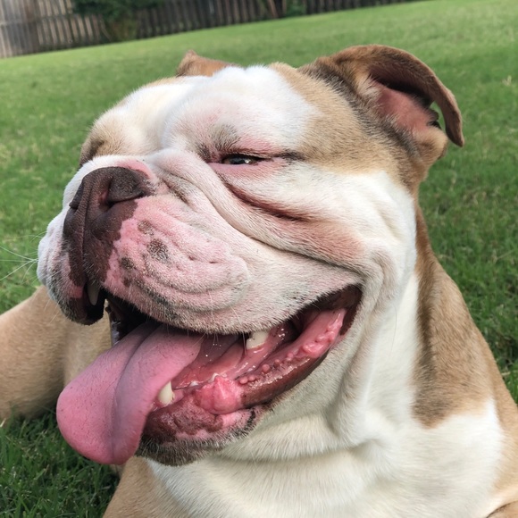 Profile Picture of Joseph Graham (@jodygraham865) on Poshmark