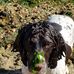 Profile Picture of Harry Thacker (@harry.thacker.334) on Facebook