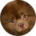 Profile Picture of Sassie LM (@sassie.locklear.5) on Facebook