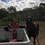 Profile Picture of Chris Witham (@chriswitham80) on Instagram