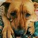 Profile Picture of Jeanmarie Hughes Bright (@jhughesbright) on Pinterest