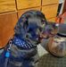 Profile Picture of Steve Henthorn (@steve.henthorn.58) on Facebook