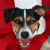 Profile Picture of Katie Markferding (@katiemarkferding1998) on Youtube