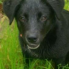 Profile Picture of Carol Donahue (@@Fiveof7cd) on Twitter