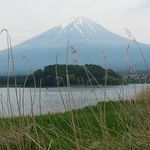 Profile Picture of Jandee Kim (@grass.kim) on Instagram