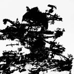 Profile Picture of David (@david_loev) on Instagram