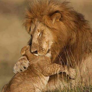 Profile Picture of David Aus (@david.aus.35) on Facebook