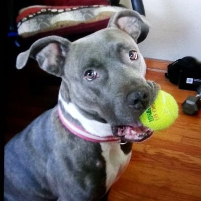 Profile Picture of Lucy Mary Casey (@LucyMaryCasey1) on Twitter
