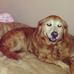 Profile Picture of Chase Clements (@i_am_chaseclements) on Instagram