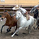 Profile Picture of Joshua Carbajal (@joshua carbajal) on Flickr