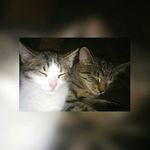 Profile Picture of Jakub Żukowski (@jakub_zukowski) on Instagram