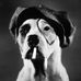 Profile Picture of Peter Bugni (@peter.bugni) on Facebook