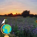 Profile Picture of Brigitte Erhard (@brigitte.erhard) on Instagram