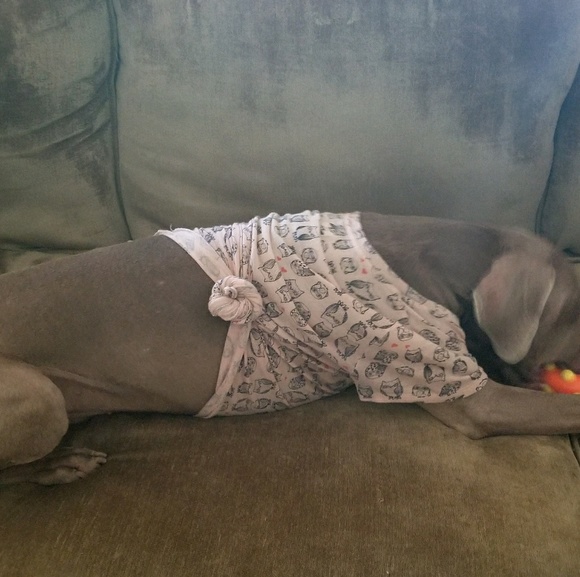 Kristen Geeter - Poshmark Profile Picture of Kristen Geeter (@kgeeter) on Poshmark