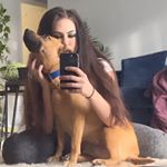 Profile Picture of haley nolan (@haleyhuh) on Instagram