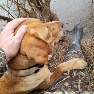 Profile Picture of Dave Hartung (@DaveHartung6) on Twitter