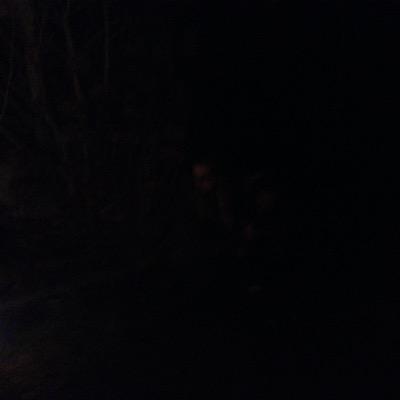 Profile Picture of Laurie (@lauriedevries_) on Twitter