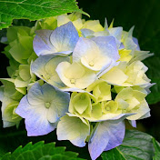 Christy Thacker - Youtube Profile Picture of Christy Thacker (@christythacker7773) on Youtube