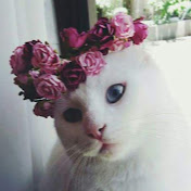 Profile Picture of Lea Maric (@LeaMaric) on Youtube