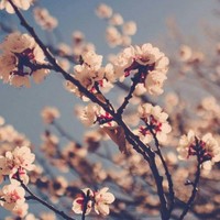 Profile Picture of Nina Keyza (@nina-keyza) on Quora