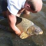 Dennis Oudewaal - Instagram Profile Picture of Dennis Oudewaal (@dennisoudewaal) on Instagram