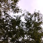 Profile Picture of Chris_Theyss (@chris_theyss_v) on Instagram