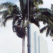 Profile Picture of Carlos Viscarra (@carlosviscarra1036) on Youtube