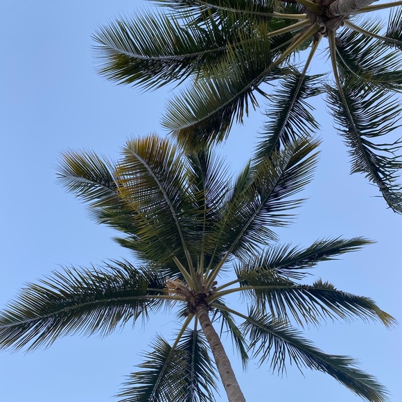 Profile Picture of Émilie Charbonneau (@emiliecharb) on Poshmark