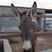 Profile Picture of Joseph Surface II (@shanonplayford) on Pinterest
